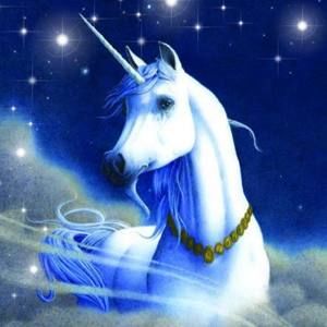 Meet your Posher, Cj